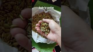 how to eat pumpkin seeds, dry soaked seeds in airfryer #shortsfeed #shortsvideo