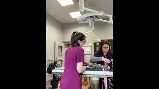 Positioning the patient