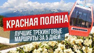 Красная Поляна Сочи: лучшие трекинговые маршруты за 5 дней