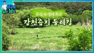 서도남 ep16. 갑천습지 둘레길, 황톳길