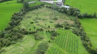 Siston Brook Vineyard August 2023 Forest Larder