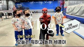 미국일상세콩맘  vlog | 미국에서 먹고사는 이야기 | 트램폴린파크에서 에너지 빼기 | 첫니빠진 마이제이