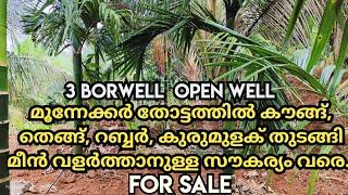 തെങ്ങ്, കൗങ്ങ്, റബ്ബർ, മാവ് തുടങ്ങി പലതരം കൃഷികൾ | 3 acre | forsale call 7907196026.