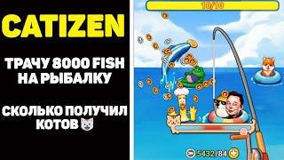 Как получить airdrop catizen трачу 8000 рыб на рыбалку. Аирдроп catizens в telegtam  #catizen