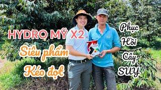 Bí kíp Kéo ĐỌT, Phục hồi cây SẦU RIÊNG