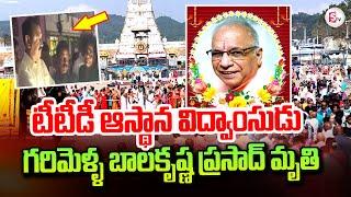 Legendary TTD Singer Garimella Balakrishna Prasad Passes Away | Tirumala Latest  News Updates