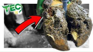HOOF SPLIT & CRACKED