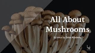 All About Mushrooms | Science by Zeba Academy