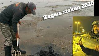 Zagers & pieren steken, zeebaars vissen Maasvlakte. Pumping lugworm.