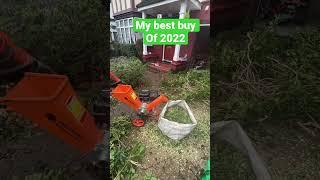 Forest master chipper #shorts #gardening #satisfying