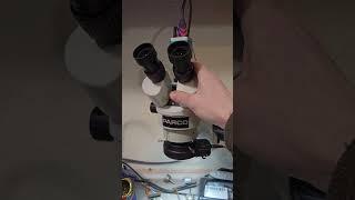 I Gave My Microscope Away To A Discord Member... #giveaway #giveaways #viral #fypシ #fyp #foryou