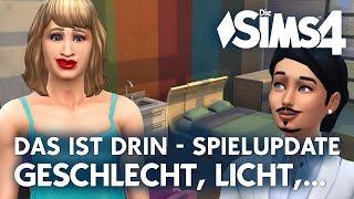 Die Sims 4 Spielupdate Juni | Das ist drin im Patch und neu im Spiel