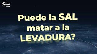 Puede matar la Sal a la Levadura? Descubre la Verdad para tus Masas de Pan, roscón y Pizza