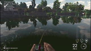 Fishing Planet Kalifornia - Karp na spinning (woobler)