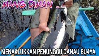 HANYA PEMANCING BER SKILL DEWA BISA PANEN IKAN BABONN CANTIK INI......