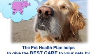 Pet Health Plan Video for Rowe