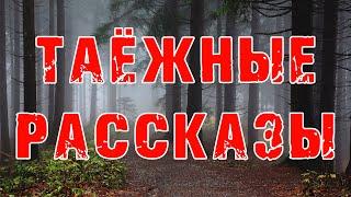 Таежные рассказы - Деревенская Мистика - Страшные истории на ночь
