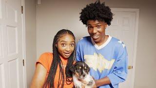 WE GOT A PUPPY …..MUKBANG+Q&A  *MUST WATCH*