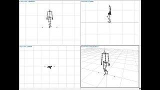 HORGO - Custom Female Skeleton Arma animation compatibility test #1