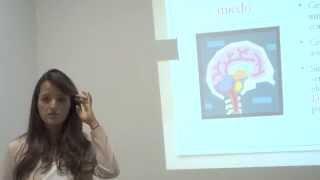 TERAPIA BREVE ESTRATÉGICA - MARÍA ANDREA HERNÁNDEZ -  FISIOLOGÍA DEL MIEDO