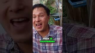 ALL COOKED FOODS TOXIC? RAW VEGAN MYTH BUSTING.
