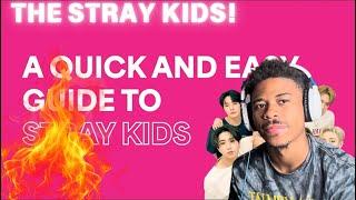 A SIMPLE GUIDE TO STRAY KIDS (REACTION)!!! 