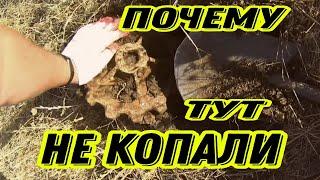 Металлокоп У ВСЕХ НА ГЛАЗАХ Дом в лесу  #hunting #metaldetecting #заработок #коп #металлокоп