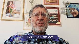 Weekly Torah Study: Terumah  תרומה