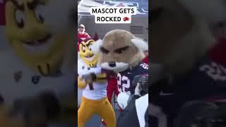 MASCOTS FIGHT EACH OTHER!! #cfb #fight #highlights