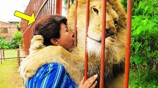 Woman Saved A Lion Cub, Just Look How The Lion Reacted Years Later When They Reunited