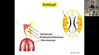 Ursachen von Bronchitis / Lungenentzündung einfach erklärt Folge 2