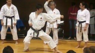 Sensei Tatsuya Naka, ejemplos Heian Nidan