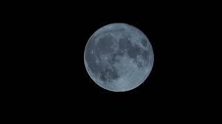 Blue Moon 4K Stock Footage Moving Across The Sky