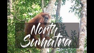 Medan(North Sumatra) Travel Video