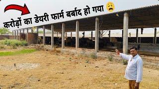 करोडों का Buffalo Farm बंद हो रहा हैं  अमूल डेयरी के चक्कर में 