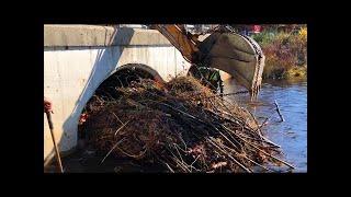 Beaver Dam Removal With Excavator Skills - Awesome Floods & Dredging - Dangerous Breaking Dams