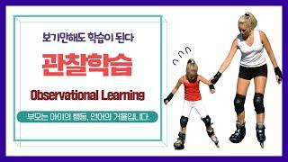 관찰학습 _ observational learning