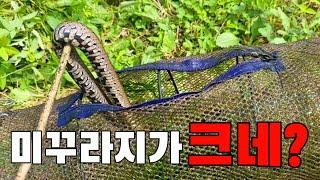 미꾸라지 통발에 뱀 들어와서 무서웠습니다