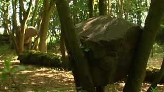 Jupiter Artland   Stone Coppice Andy Goldsworthy