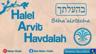 Halel - Arvit - Havdalah / Shabat Beha’alotcha