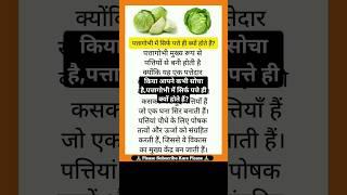 पत्तागोभी में सिर्फ पत्ते ही क्यों होते हैं? Why does cabbage only have leaves? @FvfHindiKnowledge