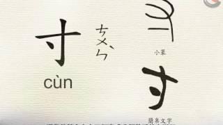 動畫說漢字：「寸」部 (試閱版)