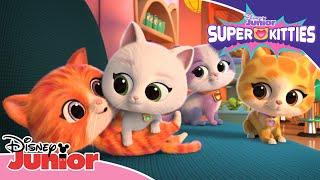 Söta klipp från den nya serien SuperKattungar | Disney Junior Sverige