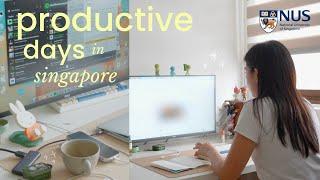 PRODUCTIVE DAYS IN MY LIFE: NUS final year diaries  job hunt, uni & self-care vlog