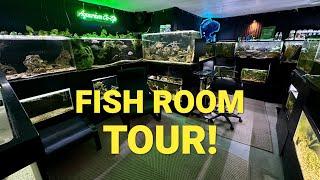 My Full Fish Room Tour