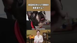 泰国缴获200多万颗“疯药”，疯药到底是什么？涨知识了 疯药 金山角 缅北