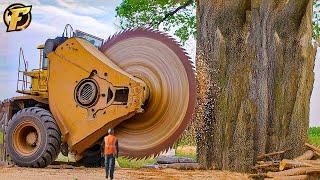 175 Fastest Big Chainsaw Cutting Tree Machines Skills | Biggest Heavy Equipment Machines