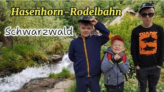 ЗАМЕЧАТЕЛЬНО  ПРОВЕЛИ ВРЕМЯ В  Hasenhorn-Rodelbahn. SCHWARZWALD.