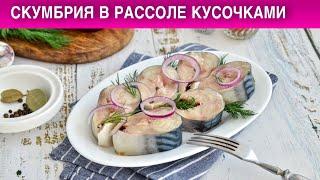 Скумбрия в рассоле кусочками  Как посолить скумбрию в домашних условиях  Засолка скумрии в рассоле