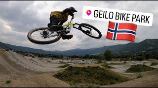 Geilo Bikepark war nicht so "geilo"?! | Norwegen Vlog #8 | ft. Nino